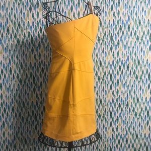 Brand New With Tags Cynthia Steffe dress